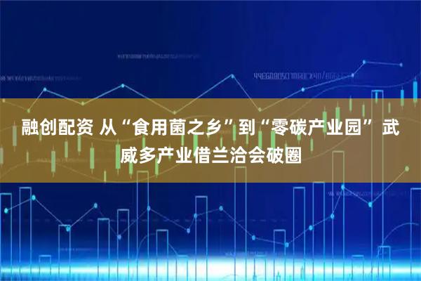 融创配资 从“食用菌之乡”到“零碳产业园” 武威多产业借兰洽会破圈