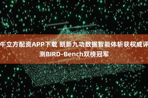 牛立方配资APP下载 朗新九功数据智能体斩获权威评测BIRD-Bench双榜冠军