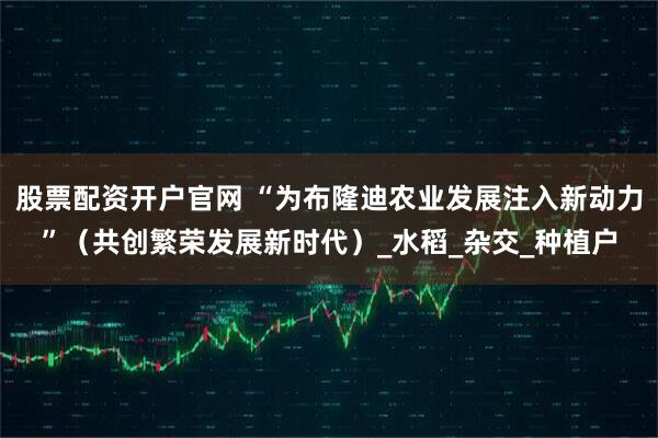 股票配资开户官网 “为布隆迪农业发展注入新动力”（共创繁荣发展新时代）_水稻_杂交_种植户