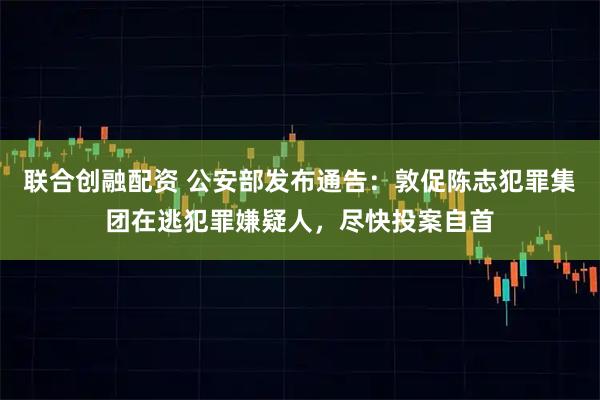 联合创融配资 公安部发布通告：敦促陈志犯罪集团在逃犯罪嫌疑人，尽快投案自首