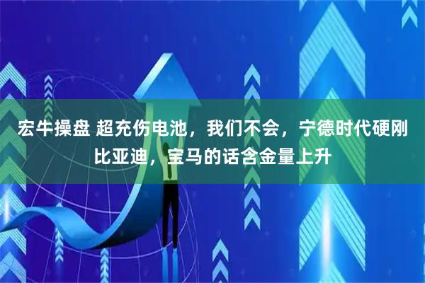 宏牛操盘 超充伤电池，我们不会，宁德时代硬刚比亚迪，宝马的话含金量上升